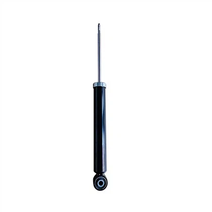22862246 Absorber turraing